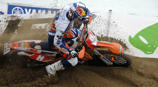 Meo lignano