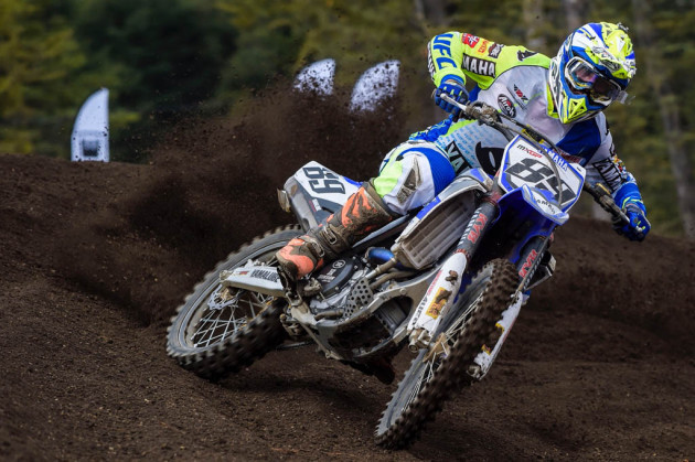 Argentina van horebeek