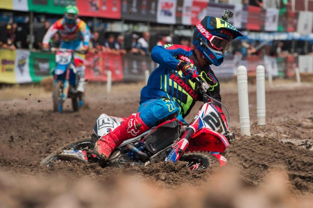 Paulin argentina prev