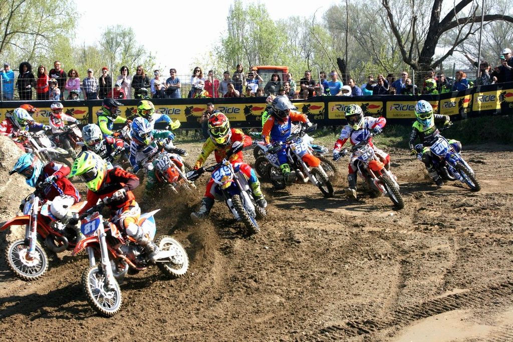 Italiano MX Junior Faenza La carica dei 360